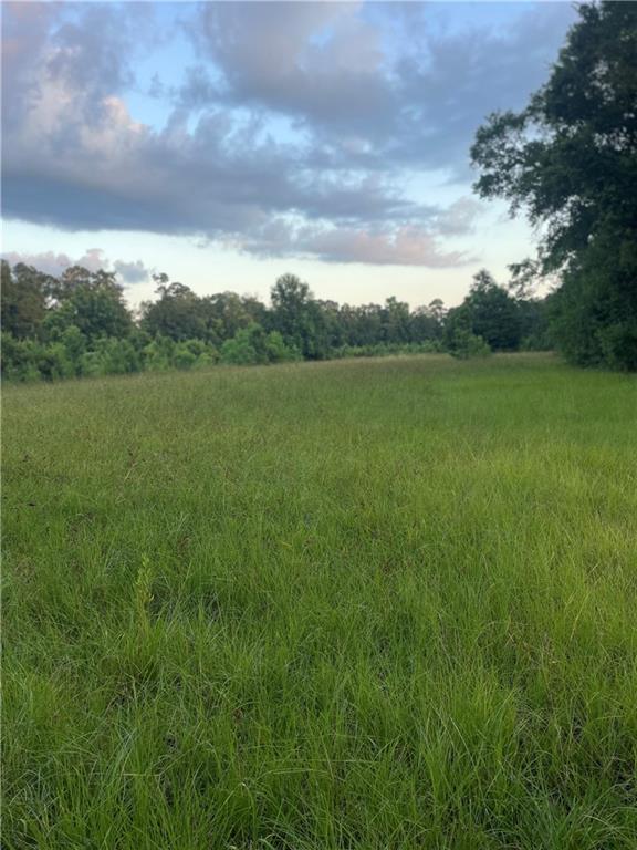 17142 Parker Ln, Hammond, LA 70403