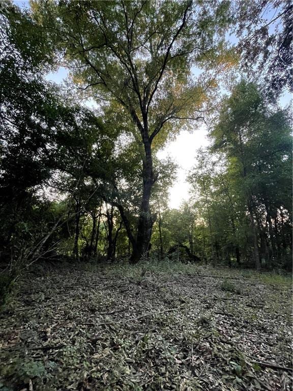 17142 Parker Ln, Hammond, LA 70403