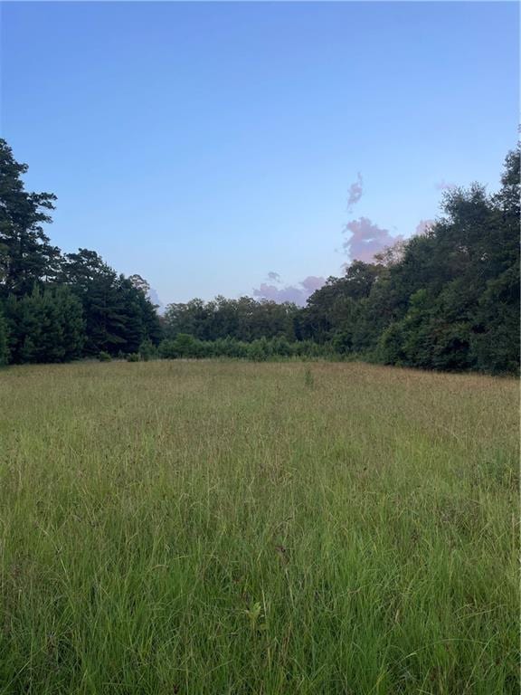 17142 Parker Ln, Hammond, LA 70403