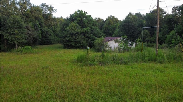 17142 Parker Ln, Hammond, LA 70403