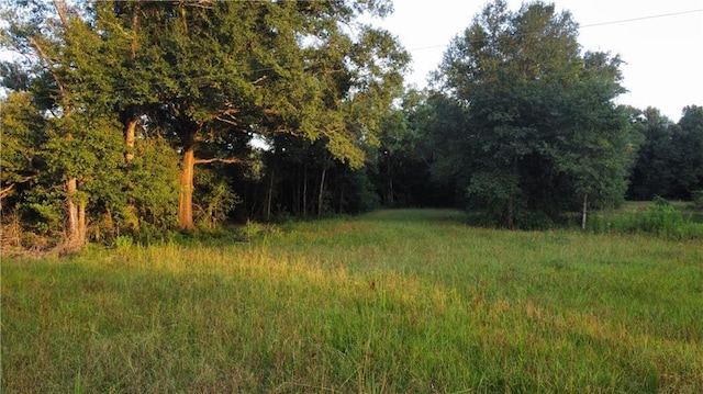 17142 Parker Ln, Hammond, LA 70403