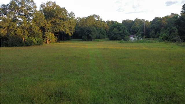 17142 Parker Ln, Hammond, LA 70403