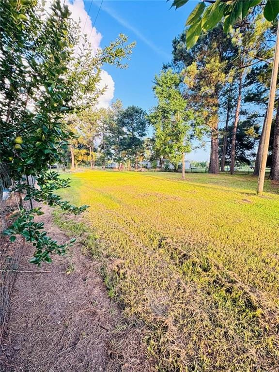 31268 Crain Rd, Albany, LA 70711 - photo 6
