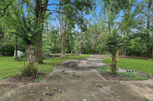 18155 La Highway 16, Denham Springs, LA 70726 - view of green lawn