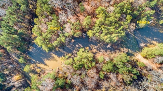 109 Carmel Church Rd, Natchez, MS 39120 - photo 4