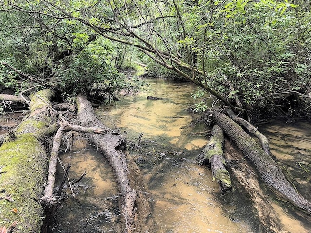 37.6ACRES House Creek Rd, Bush, LA 70431