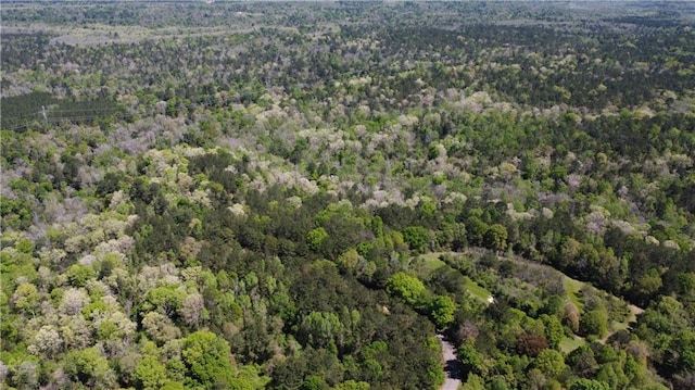 37.6ACRES House Creek Rd, Bush, LA 70431