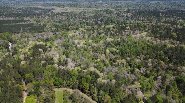 37.6ACRES House Creek Rd, Bush, LA 70431