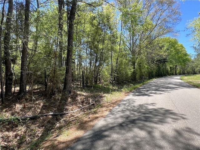 37.6ACRES House Creek Rd, Bush, LA 70431
