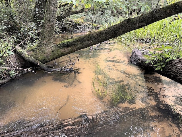 37.6ACRES House Creek Rd, Bush, LA 70431