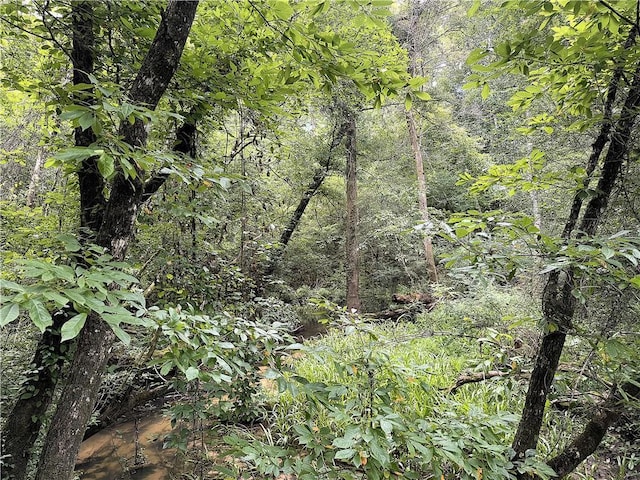 37.6ACRES House Creek Rd, Bush, LA 70431
