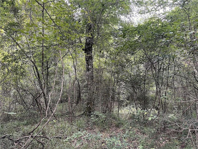37.6ACRES House Creek Rd, Bush, LA 70431