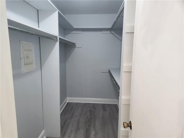 3320 N Arnoult Rd Unit 109, Metairie, LA 70002 - spacious closet with electric panel and dark wood finished floors