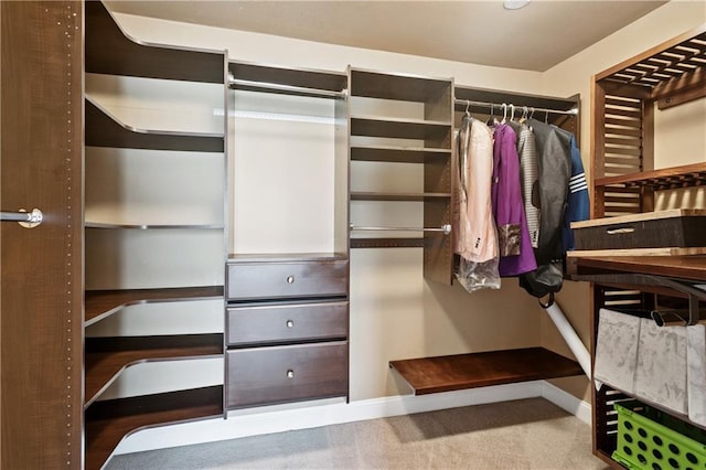 804 S Hawthorn Ct, Slidell, LA 70458 - walk in closet featuring carpet