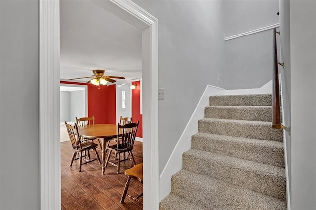 2412 Green Acres Rd, Metairie, LA 70003 - stairs featuring wood finished floors and ceiling fan