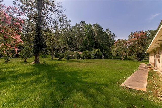 52458 Cypress St, Independence, LA 70443 - photo 19