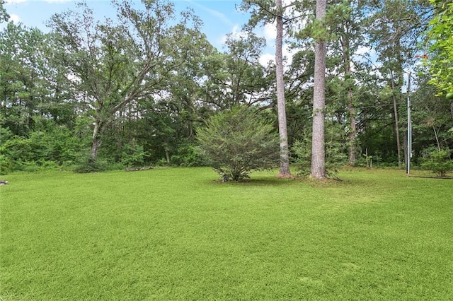 24531 Sanders Rd, Covington, LA 70435 - photo 21