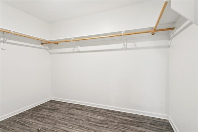 24359 Dawson Ct, Ponchatoula, LA 70454 - spacious closet with dark wood finished floors