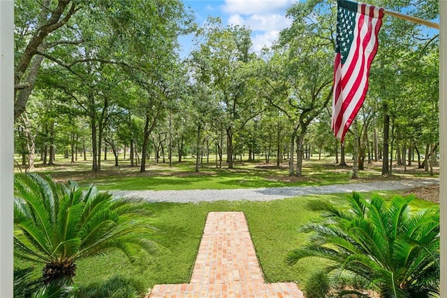 419 Starling Dr, Slidell, LA 70461 - photo 5