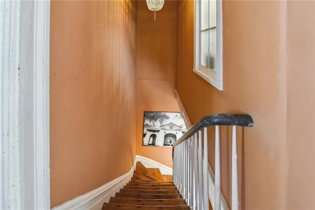 1922 Constance St, New Orleans, LA 70130 - photo 22