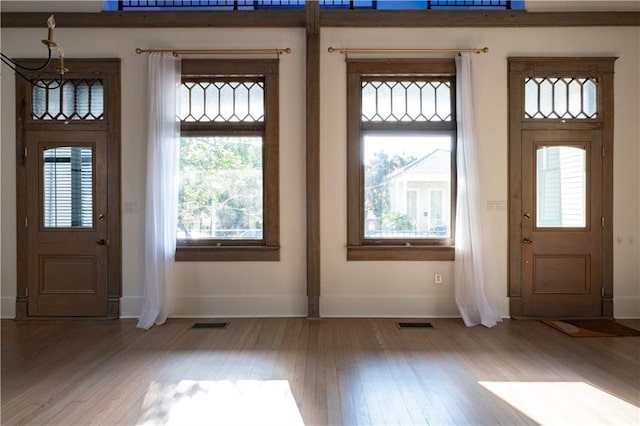 623-25 Louisa St, New Orleans, LA 70117 - foyer featuring wood finished floors and plenty of natural light