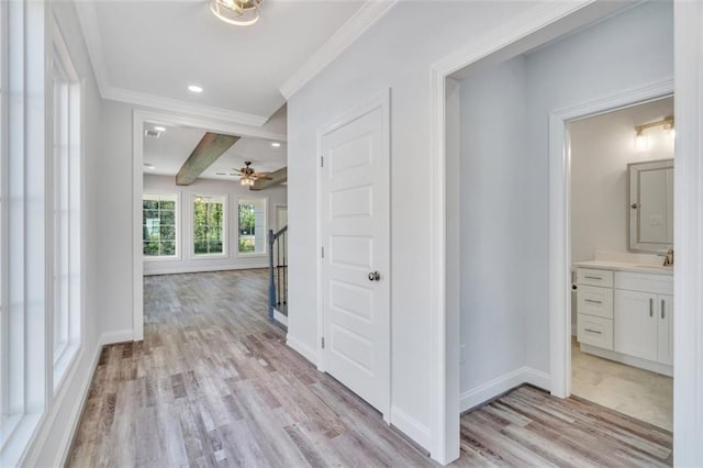 5028 Twin River Pl, Covington, LA 70433 - corridor featuring crown molding, light wood finished floors, and beam ceiling