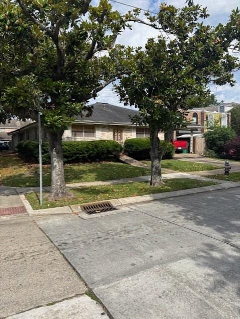 305 Lilac St, Metairie, LA 70005 - view of obstructed view of property