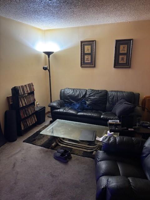 305 Lilac St, Metairie, LA 70005 - living room with carpet and a textured ceiling