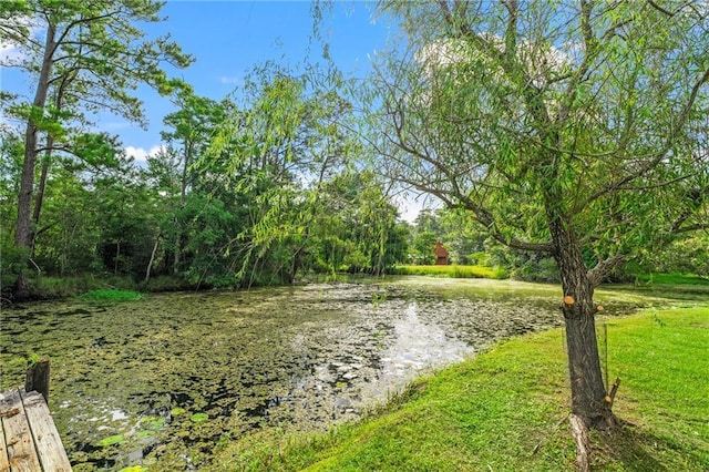 59246 Cypress Bayou Ln, Lacombe, LA 70445 - water view