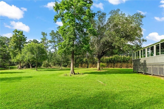 59246 Cypress Bayou Ln, Lacombe, LA 70445 - view of green lawn with view of scattered trees
