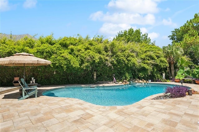 8 Oak Tree Dr, Slidell, LA 70458 - swimming pool featuring a patio and view of wooded area
