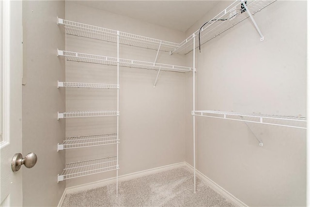 2212 Prairie Ct, Mandeville, LA 70448 - walk in closet with carpet floors
