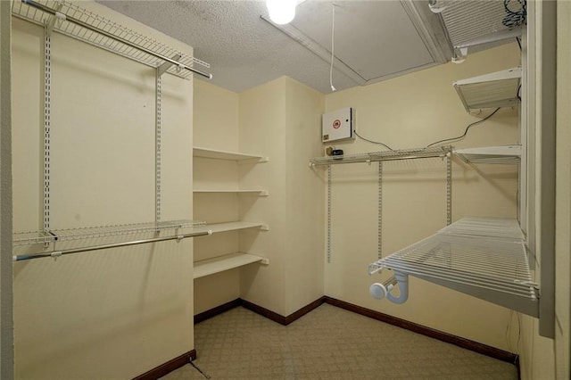 3541 Alan St, Metairie, LA 70002 - walk in closet with attic access and carpet flooring