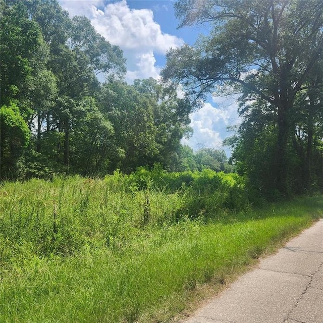 Calmes Rd, Denham Springs, LA 70706