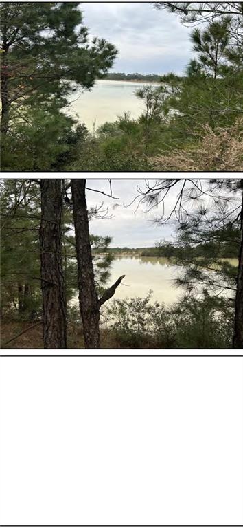 Calmes Rd, Denham Springs, LA 70706