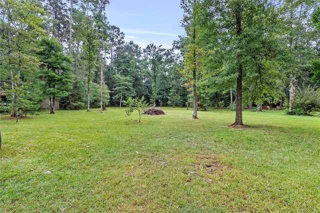 28 Hyacinth Dr, Covington, LA 70433 - view of green lawn