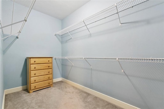 800 Rue Burgundy St Unit 223, Metairie, LA 70005 - spacious closet with carpet floors