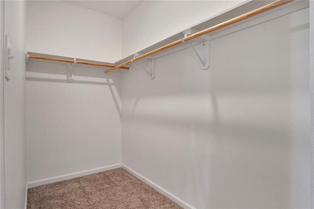 801 Lakeshore Village Dr, Slidell, LA 70461 - spacious closet with carpet