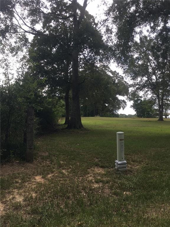 35199 Ollie Dedon Rd, Mount Hermon, LA 70450 - photo 2