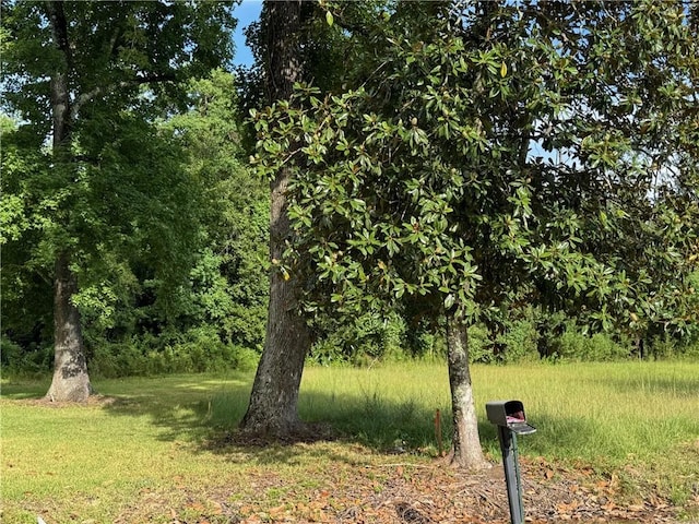 Lower Rome Rd, Springfield, LA 70462
