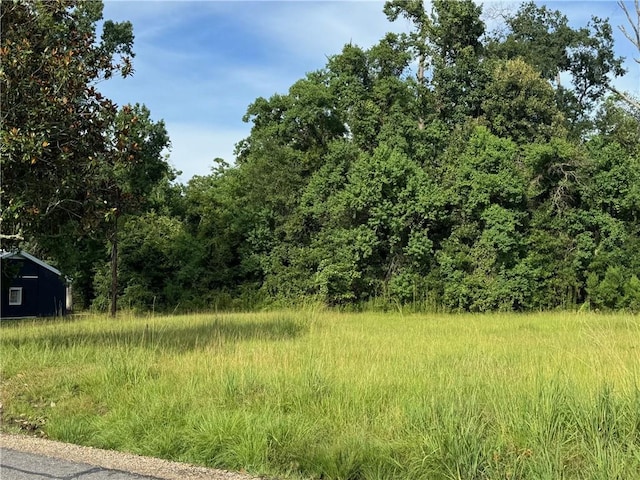 Lower Rome Rd, Springfield, LA 70462