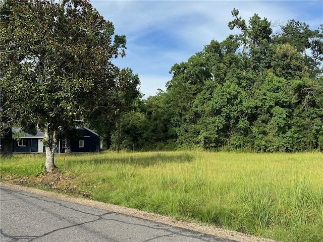 Lower Rome Rd, Springfield, LA 70462