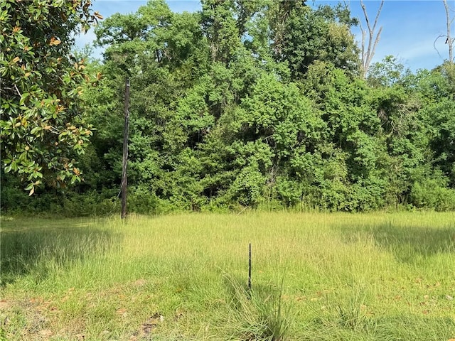 Lower Rome Rd, Springfield, LA 70462