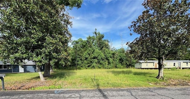 Lower Rome Rd, Springfield, LA 70462