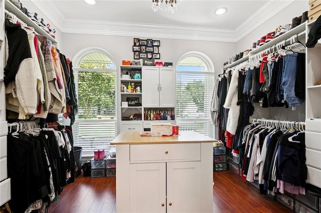 299 Sarah Victoria Dr, Belle Chasse, LA 70037 - spacious closet with dark wood-style floors