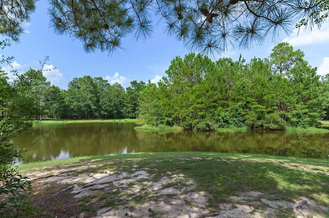 204 S Verona Dr, Covington, LA 70433 - photo 9
