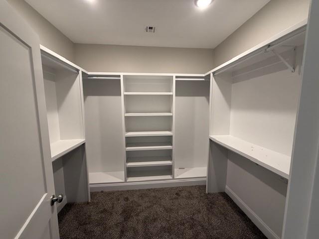 53357 Phillips Path, Loranger, LA 70446 - walk in closet with carpet floors