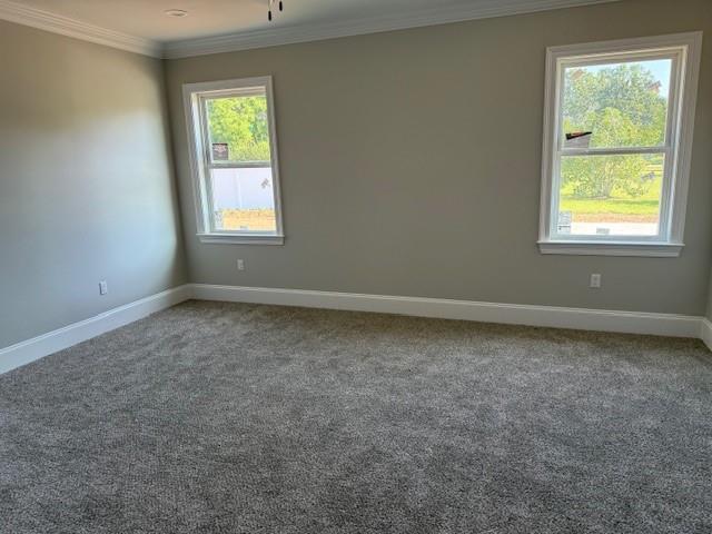 53357 Phillips Path, Loranger, LA 70446 - unfurnished room with carpet and ornamental molding