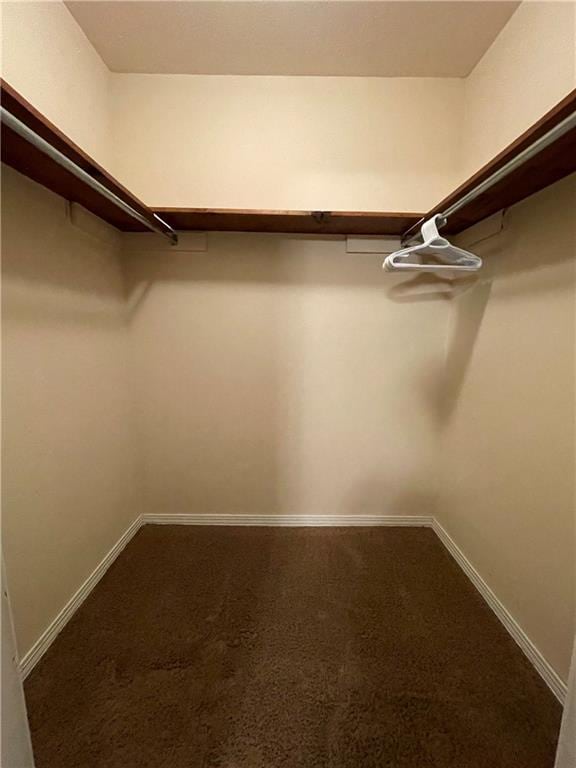 51 Brandon Hall Dr, Destrehan, LA 70047 - walk in closet with carpet