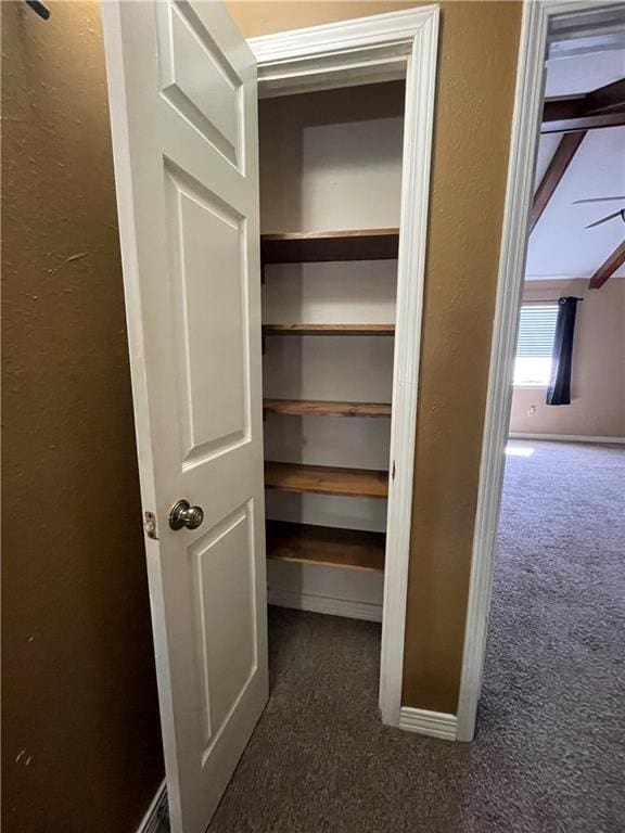 51 Brandon Hall Dr, Destrehan, LA 70047 - view of closet